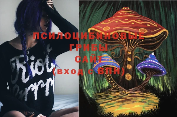 а пвп мука Алзамай